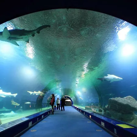 Arrendamiento De Temporada En Ruzafa Appartement *