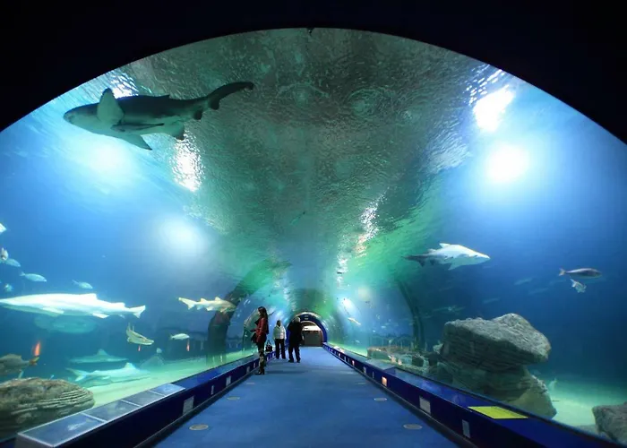 Arrendamiento De Temporada En Ruzafa アパート *